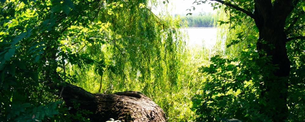 
            Фотография Кочетинского