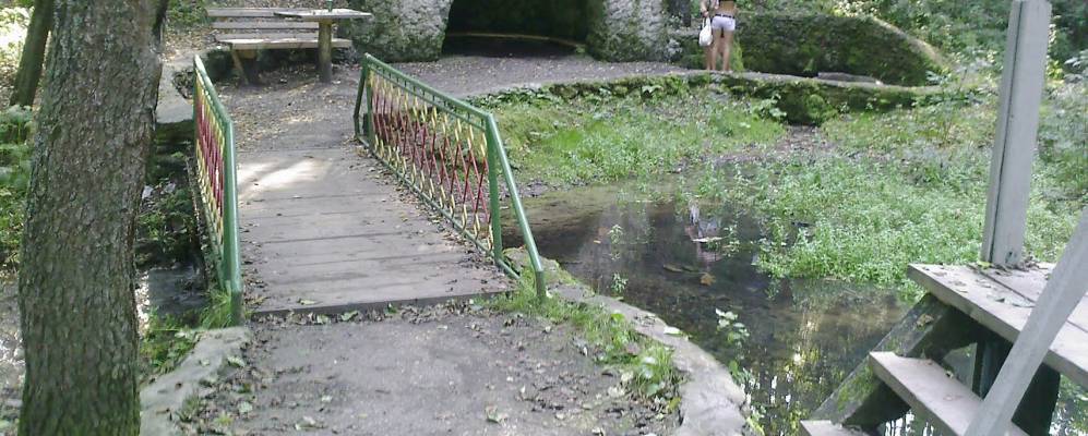 
            Фотография Песчанки