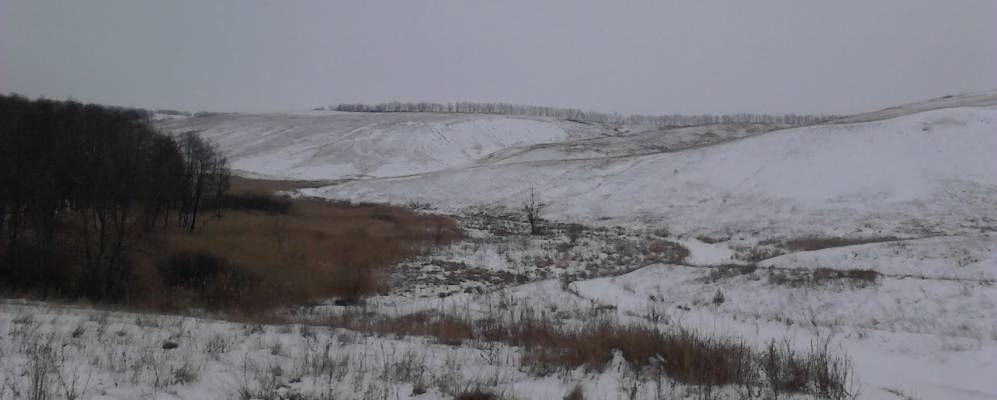 Фотография Долженков