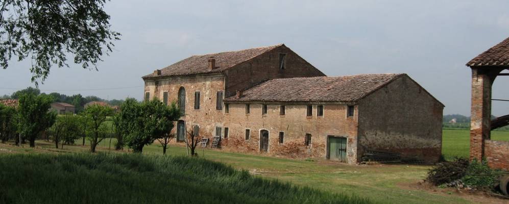 
            Фотография Коны