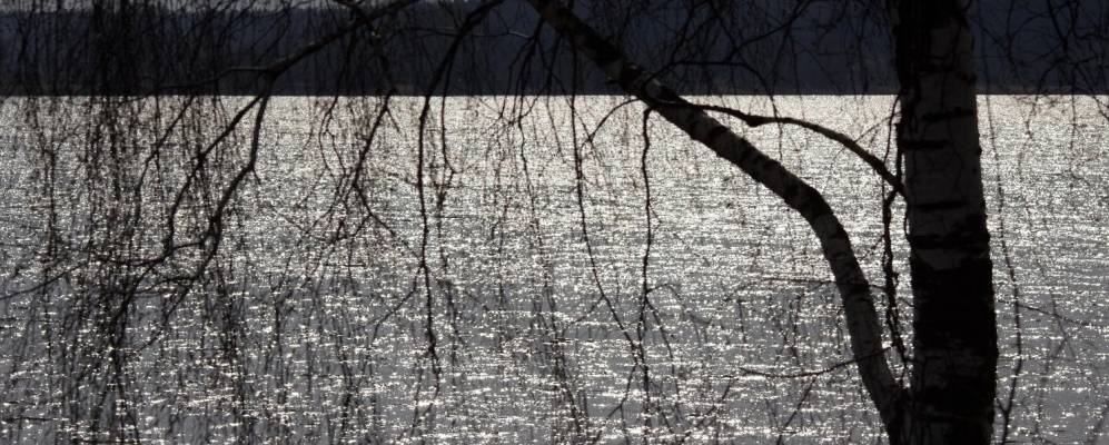 
            Фотография Асаково