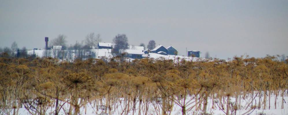 
            Фотография Заозерья