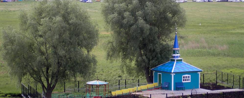 
            Фотография Алги