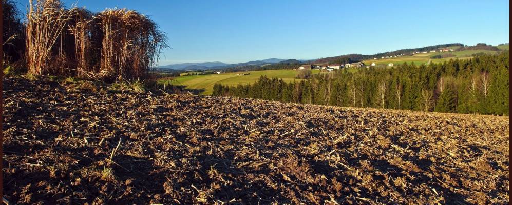 
            Фотография Гёдерсдорфа