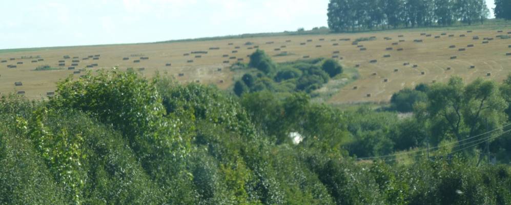 
            Фотография Карельской Слободки