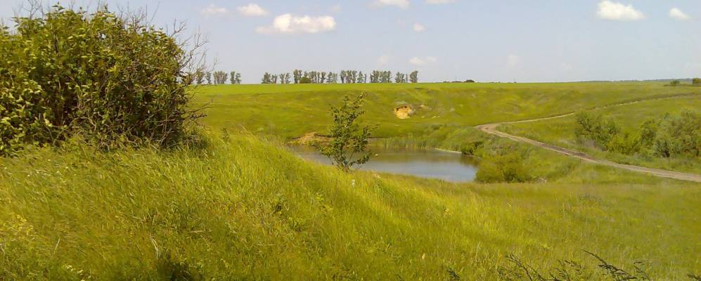 
            Фотография Второго Скородного