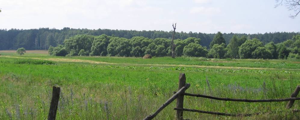 
            Фотография Гуково