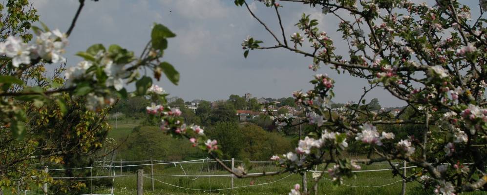 
            Фотография Сен-Тома-де-Конак