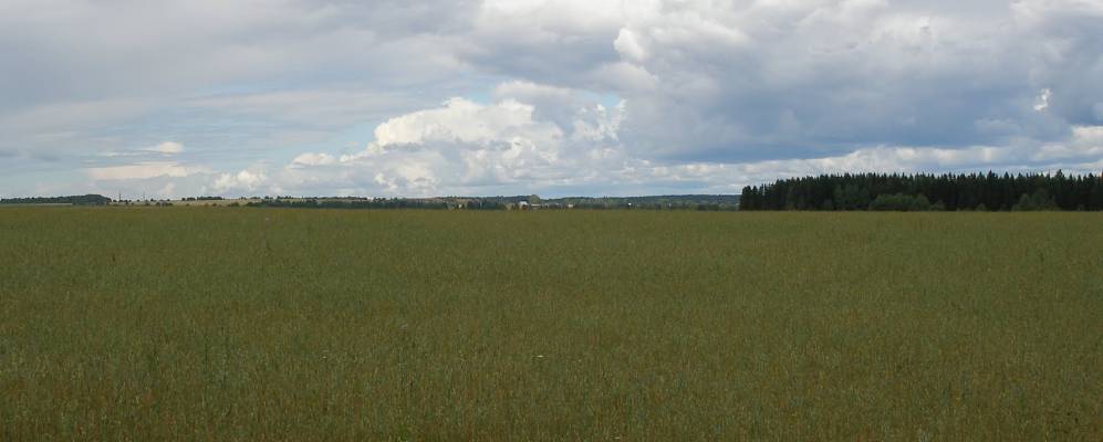 
            Фотография Звонов