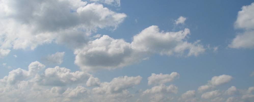 Фотография Хмелевки