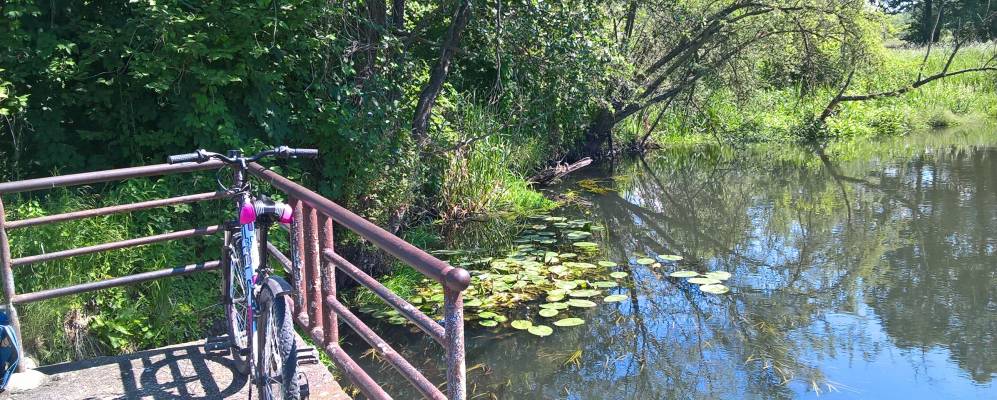 
            Фотография деревни Загоры