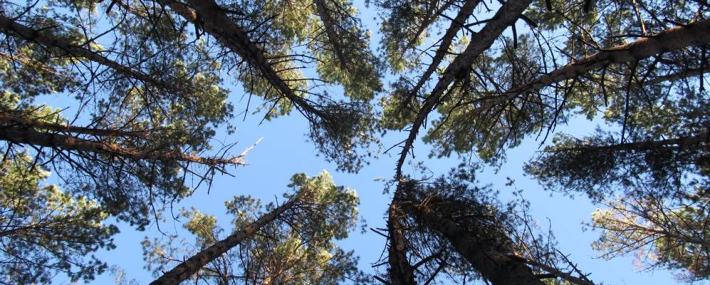 
            Фотография Отгонки