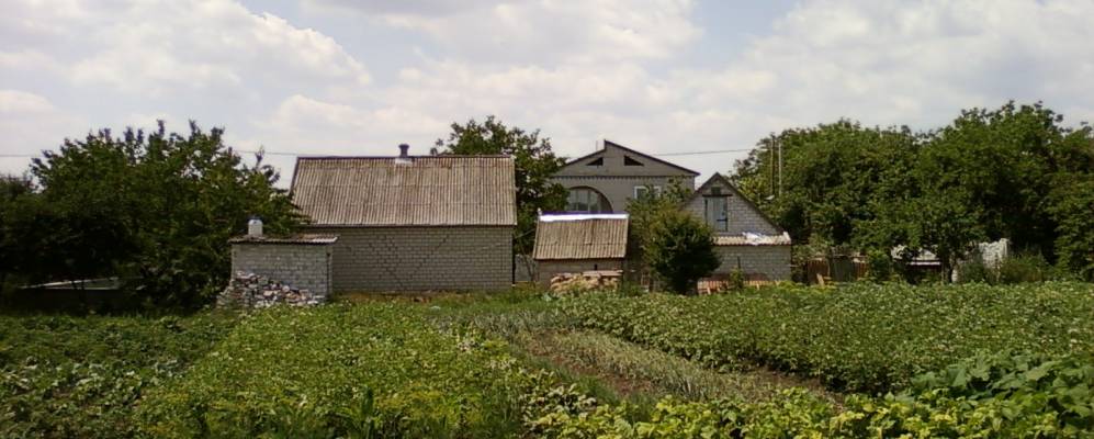 
            Фотография Суворовского