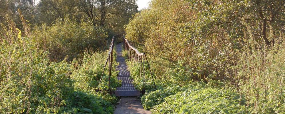 Фотография Костинки