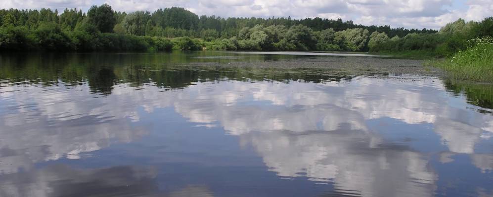 Фотография Тополево