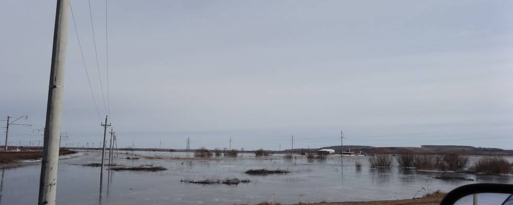 
            Фотография Снегиревки