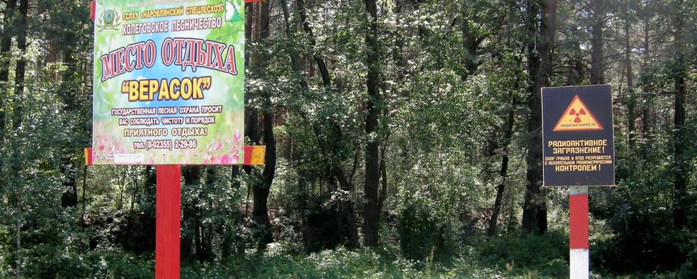 
            Фотография деревни Провтюки