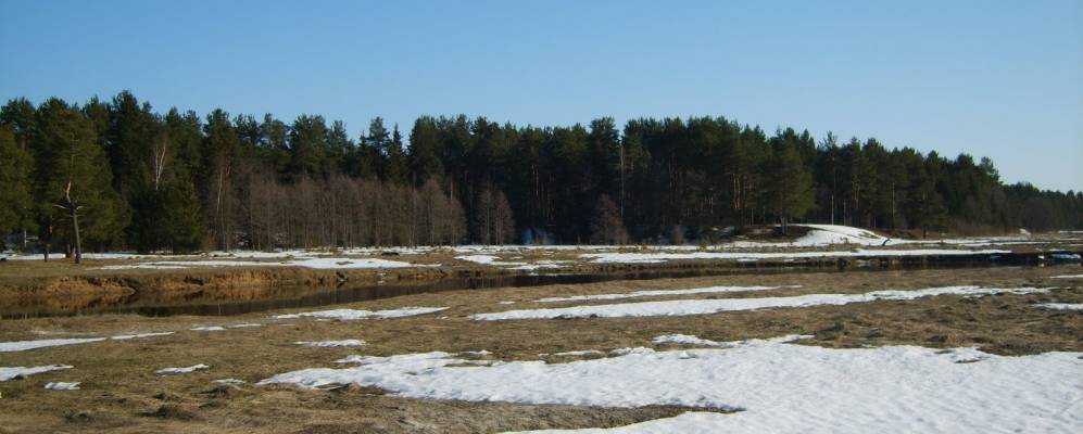 
            Фотография Щегольного