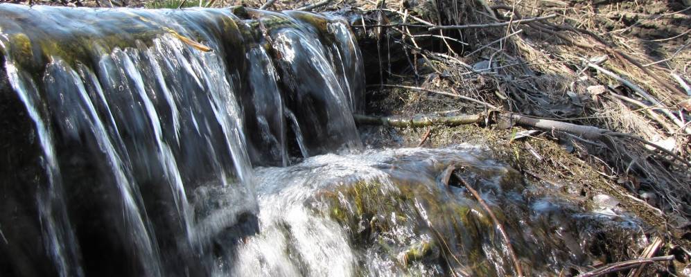 
            Фотография Архангельского