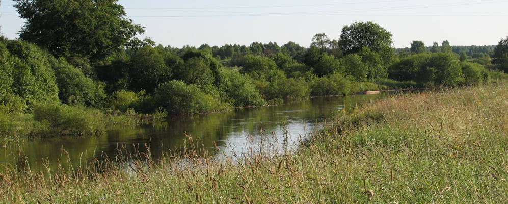 
            Фотография Камышкино