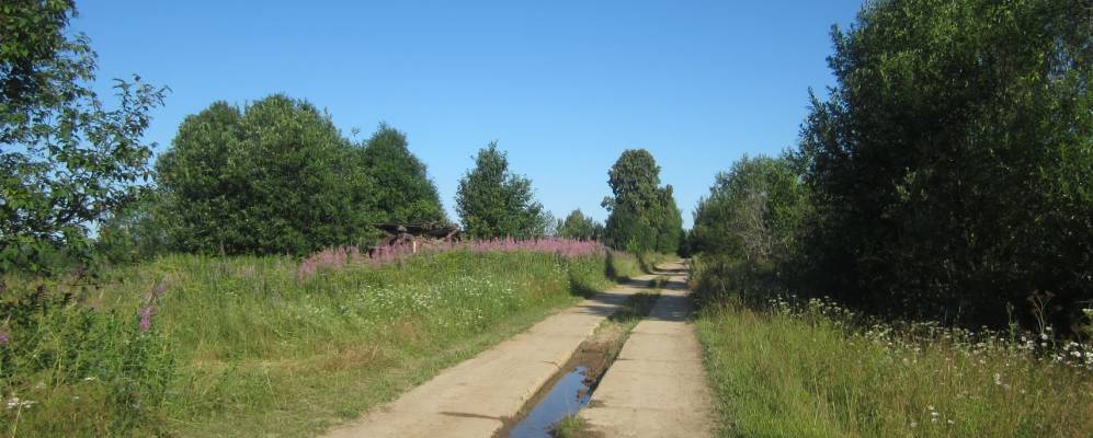 
            Фотография Федотовых