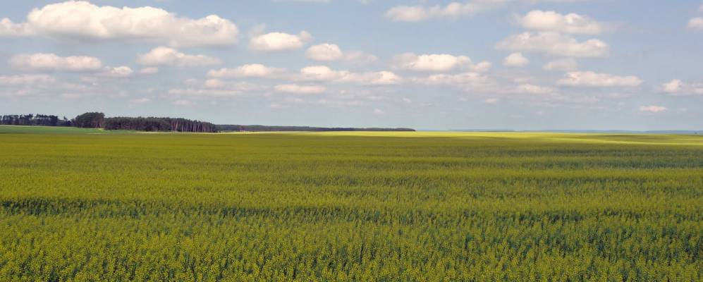 
            Фотография Турьей