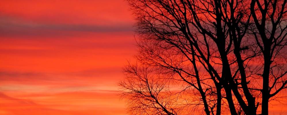 
            Фотография Сеттимо