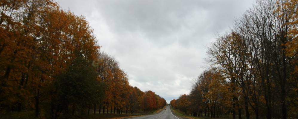 
            Фотография Елизаветинского