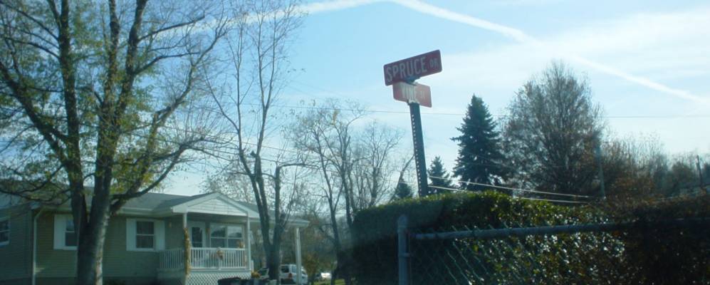 
            Фотография Нью Игла