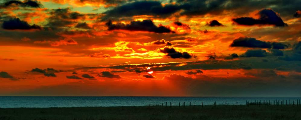 
            Фотография Доуэ-Мая