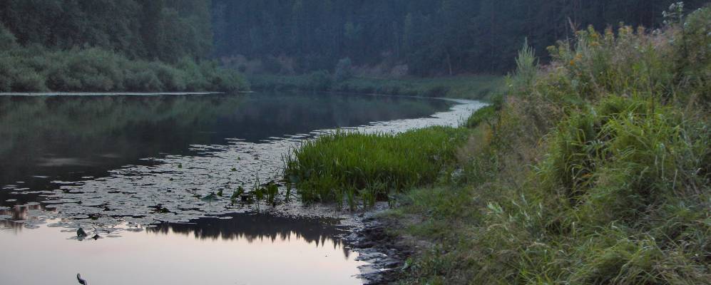 
            Фотография Коршунов