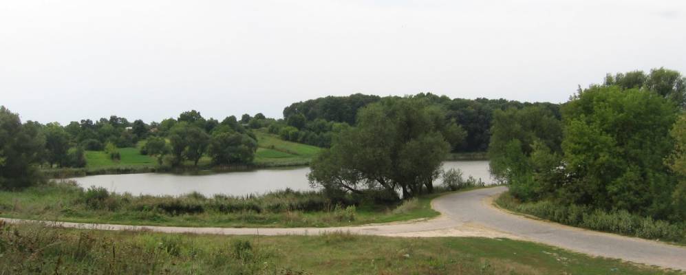 
            Фотография Цибулева