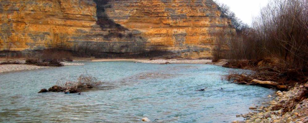 
            Фотография Байбариса