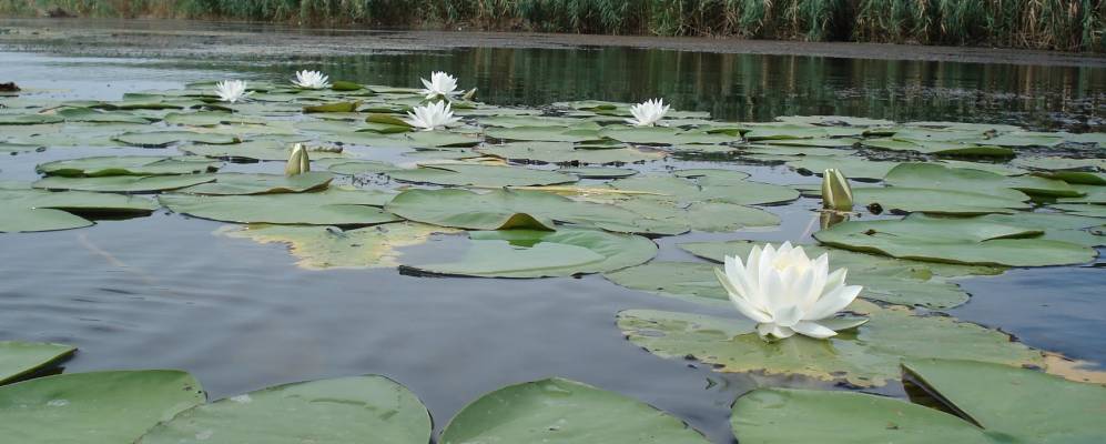 
            Фотография Логачевки