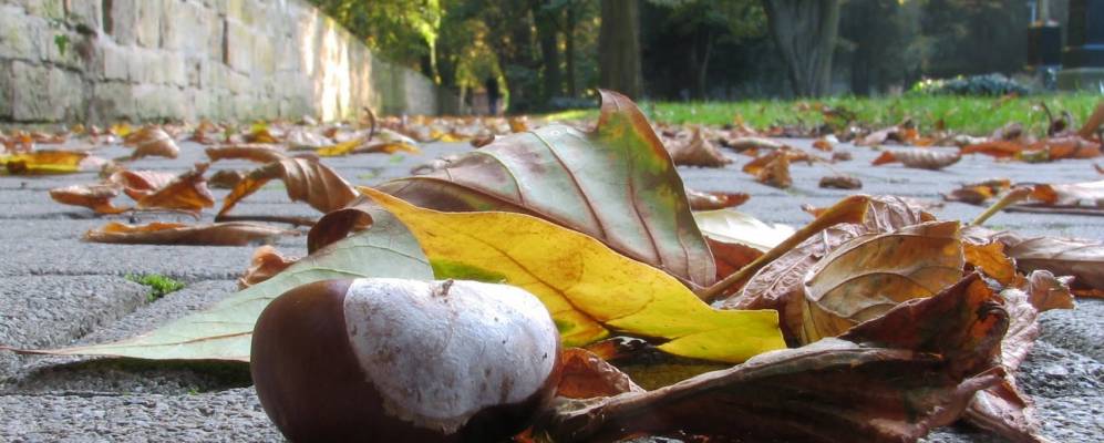 
            Фотография Гёппингена