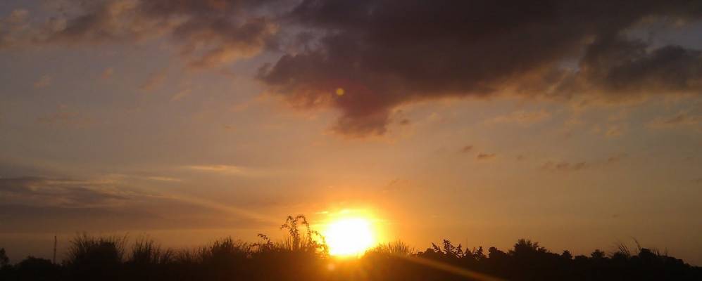 
            Фотография Сохны