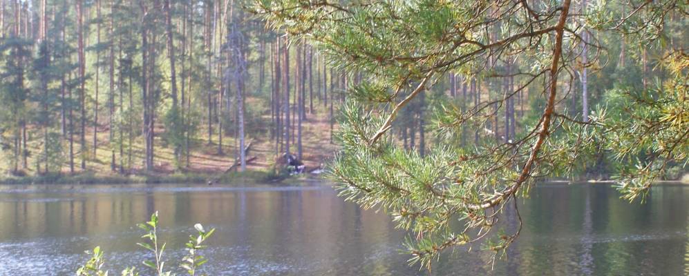 
            Фотография деревни Гололобы