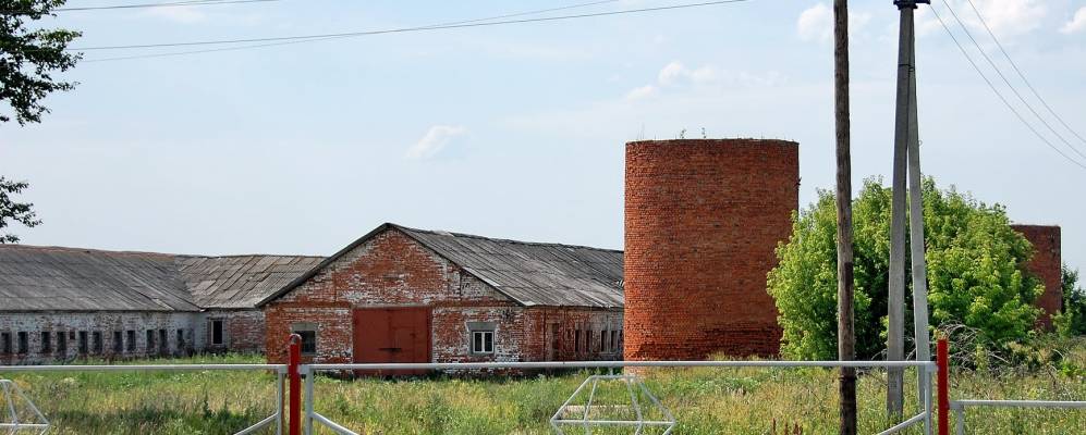 
            Фотография Ветренки
