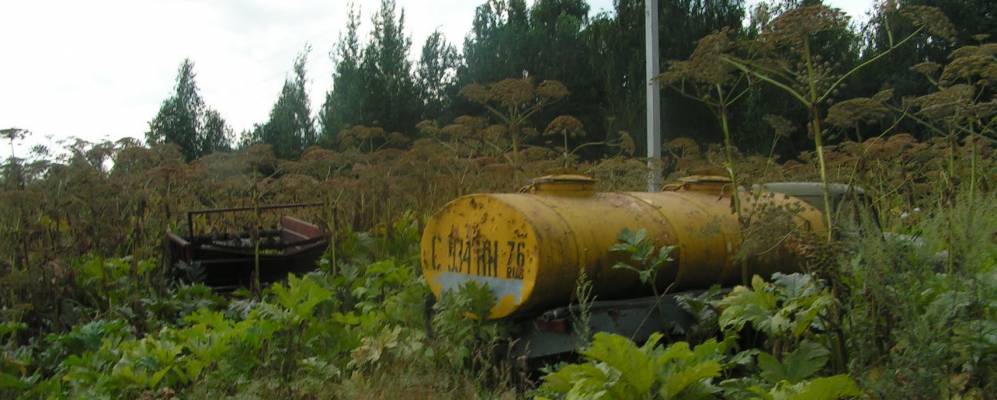 Фотография Тявково