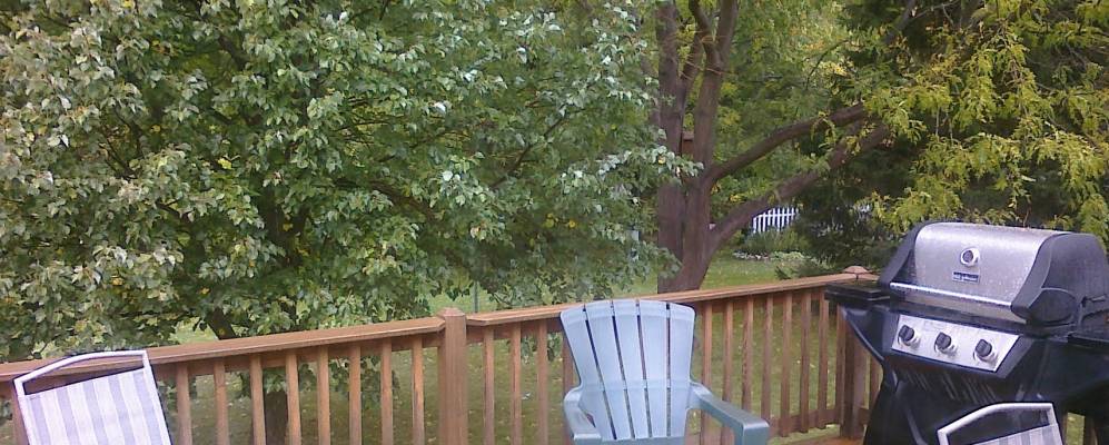 
            Фотография Спенкерпорта