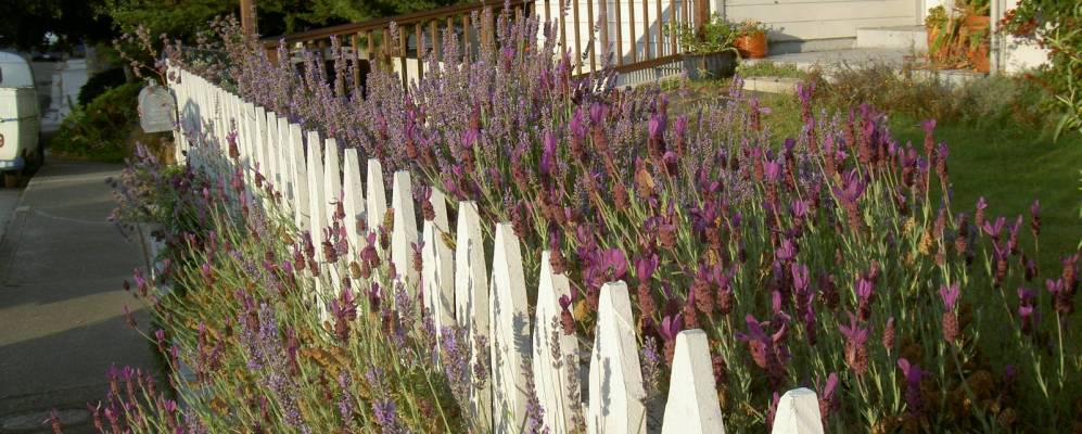 
            Фотография Роллингвуда