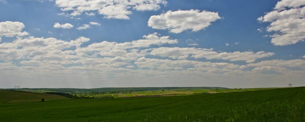 
            Фотография Пирятина