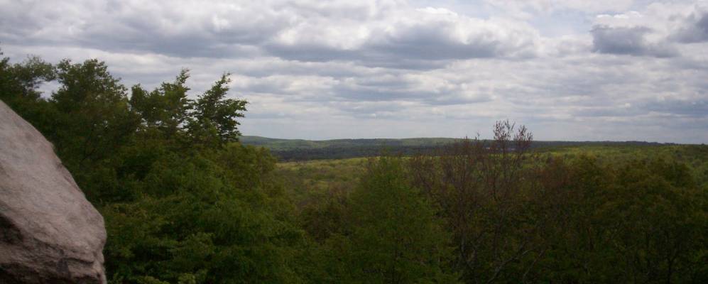 
            Фотография Мансфильд Сити