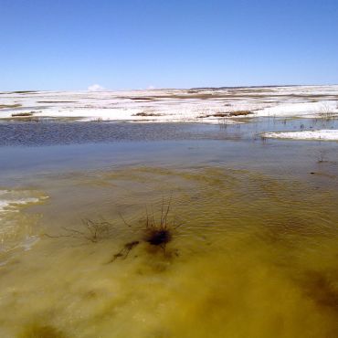 Яснополянское