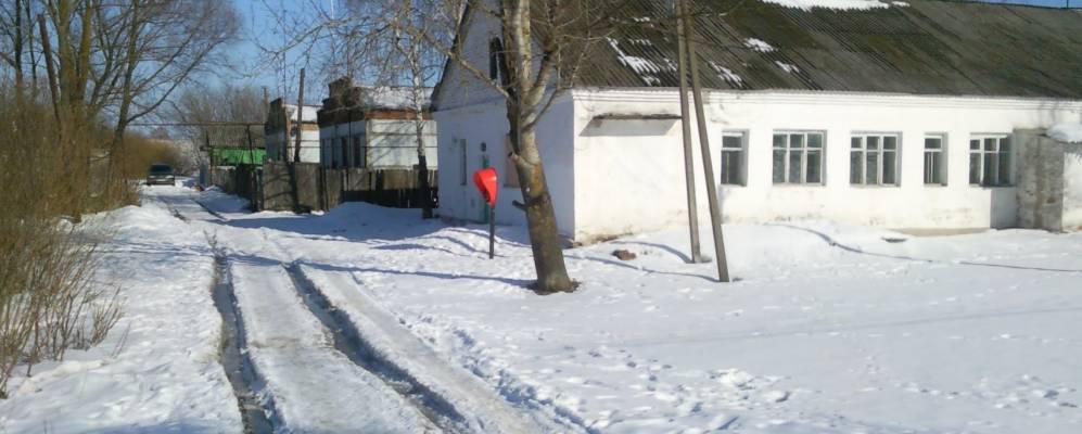 
            Фотография Лопаток