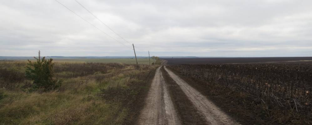 
            Фотография Керы