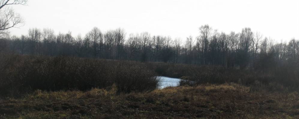 Фотография деревни Старые Храковичи