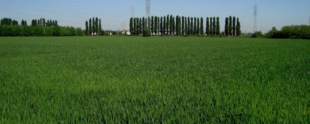 
            Фотография Маргеры