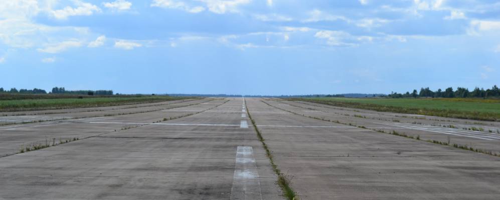 Фотография Малиновки