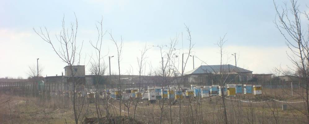 Фотография Сухомлыново